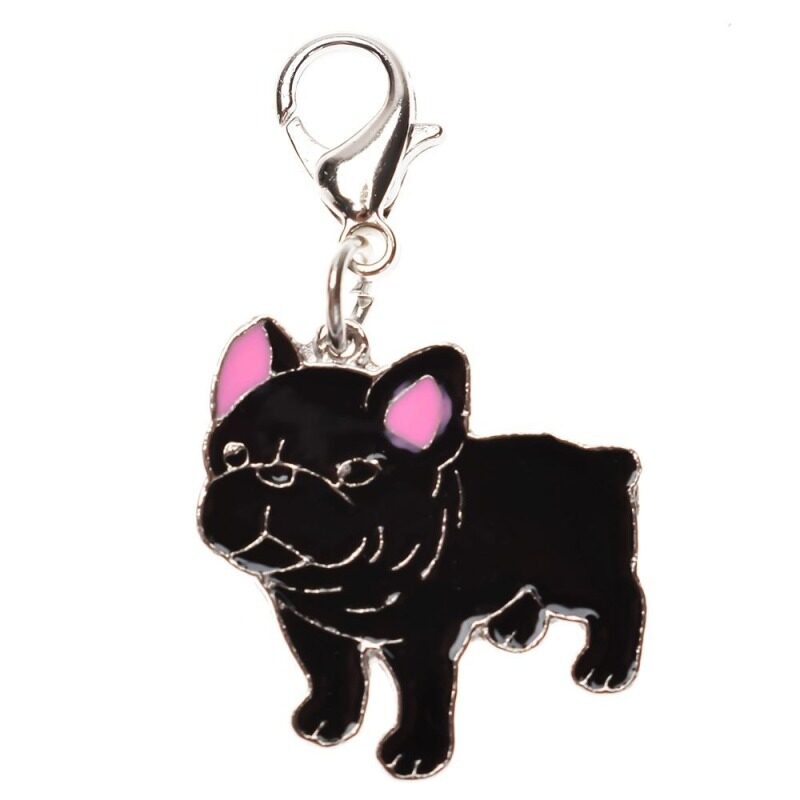 Dog ID Tag Đĩa Đĩa Cá Nhân Phụ Kiện Bằng Sứ Cổ Áo Mặt Dây Chuyền