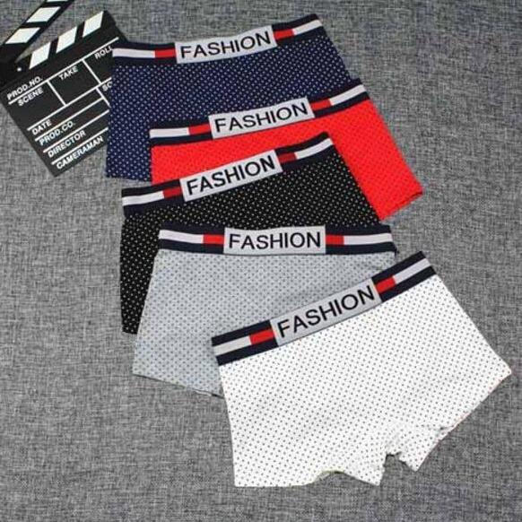 5 x LES T Female Neutral Underwear Cotton Panties Tomboy Boxer