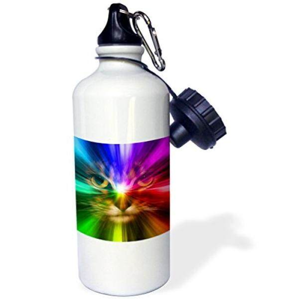 3 Drose Wb_18499_1 Kucing Domestik Dikelilingi dengan Pelangi Warna Botol Air Olahraga, 21 OZ, coklat-Internasional