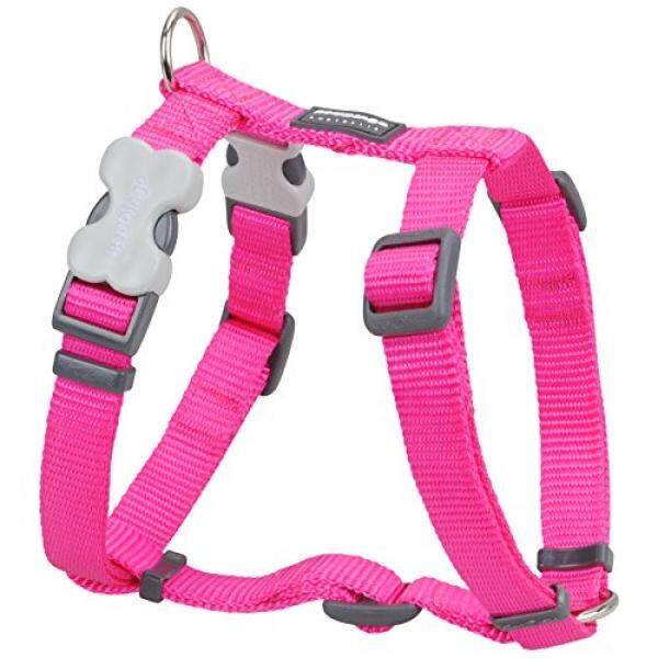 Merah Dingo Klasik Anjing Memanfaatkan,, Hotpink-Internasional