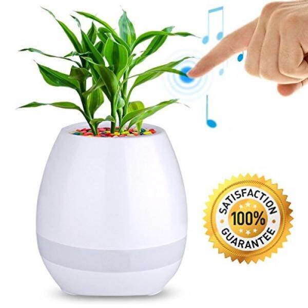 Teklectric Pot Bunga W/Dibangun Di Bluetooth Pembicara-Musik Pot Bunga-Bermain Piano dengan Menyentuh tanaman atau Digunakan Sebagai Pembicara Bluetooth-LED Malam Ringan W/Mulltiple Pengaturan Warna-Internasional