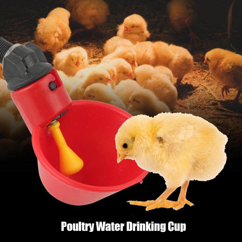 4 Pack Poultry Water Drinking Cups Chicken Hen Bird Plastic Automatic Drinker