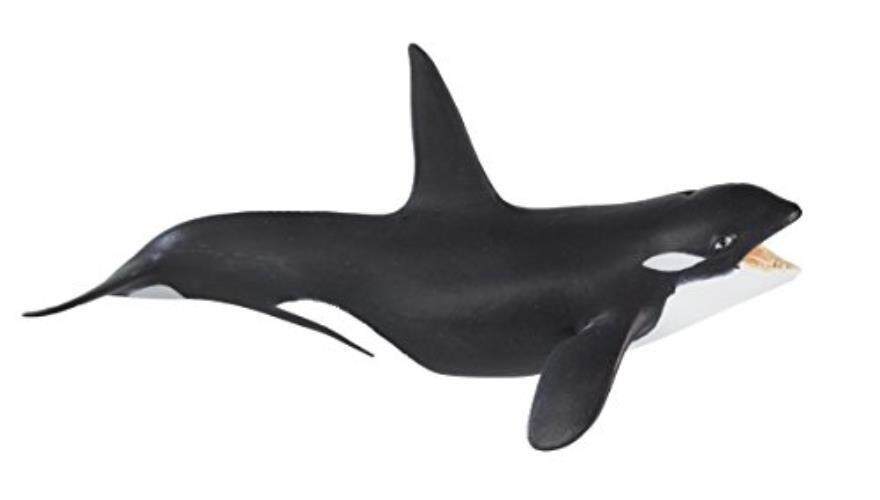 Safari Ltd Liar Safari Laut Kehidupan-Paus Pembunuh-Tangan Lukis Figurine Pendidikan-Konstruksi Mutu dari Aman dan BPA Bebas Materials-untuk Usia 3 dan Ke Atas-Internasional
