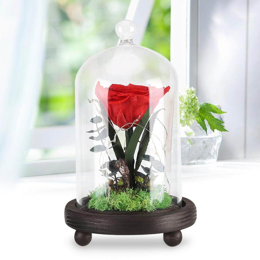 Preserved Rose Flower LED Light with Glass Cover Wooden Base Valentines'Day Wedding Gift