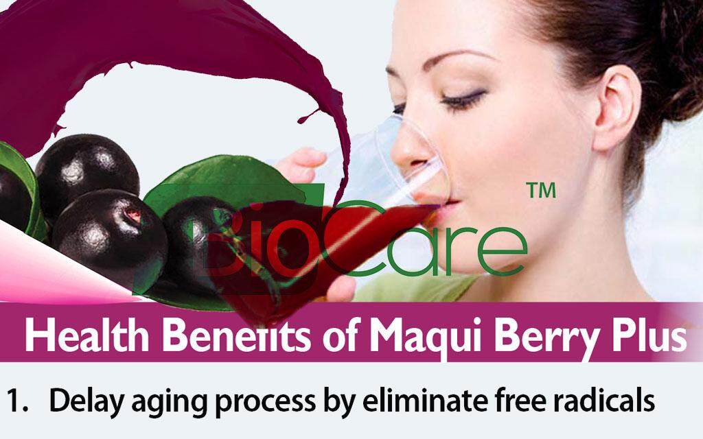 maqui-berry-biocare.jpg