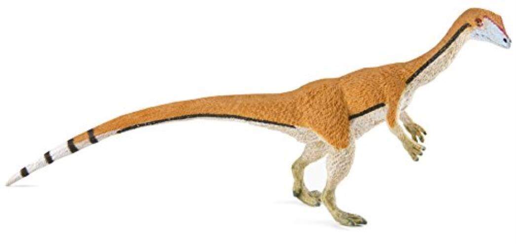 Safari Ltd. coelophysis-Model Lukisan Mainan Lukis Handal Yang Realistis-Konstruksi Mutu dari Phthalate, pimpinan dan BPA Bebas Materials-untuk Usia 3 dan Ke Atas-Internasional