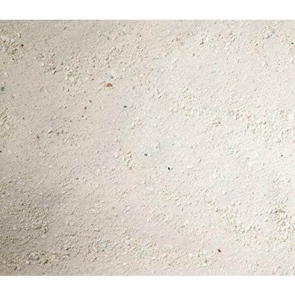 Carib Sea ACS00794 Arag Alive West Caribean Sand for Aquarium, 20-Pound, 2 Per Case - intl