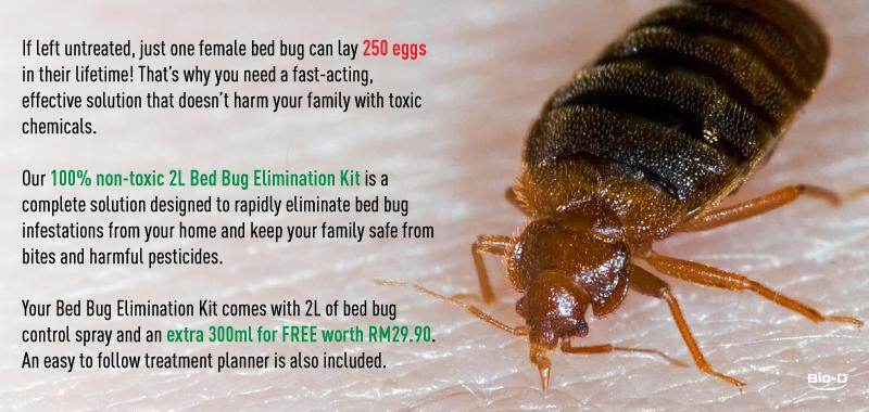 Product-Description-Image-K (1).jpg