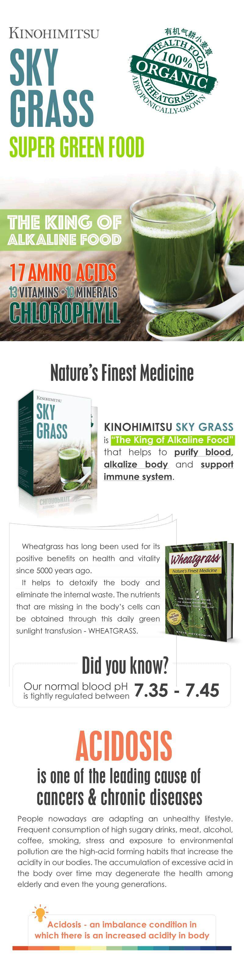 2018-01 Kino Sky Grass Content-01.jpg