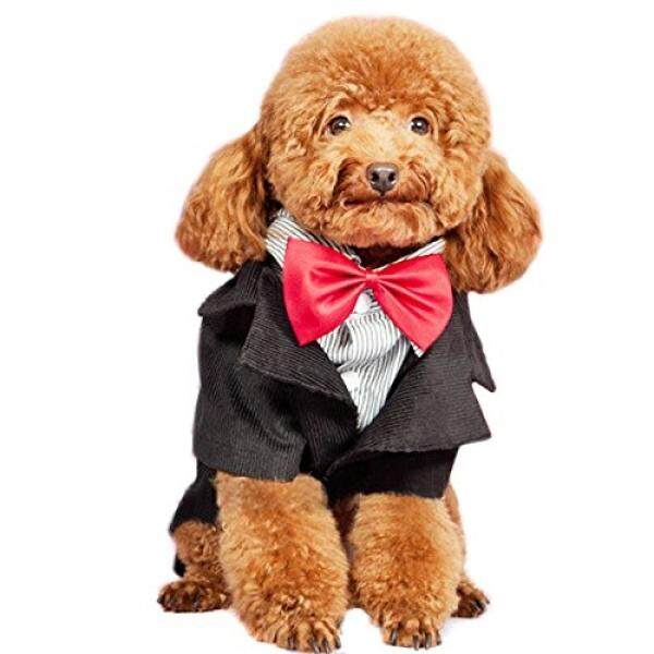 Alfie Hewan Peliharaan dengan Petoga Couture-Tyson Formal Tuxedo dengan Pita Dasi Merah-Ukuran:-Intl