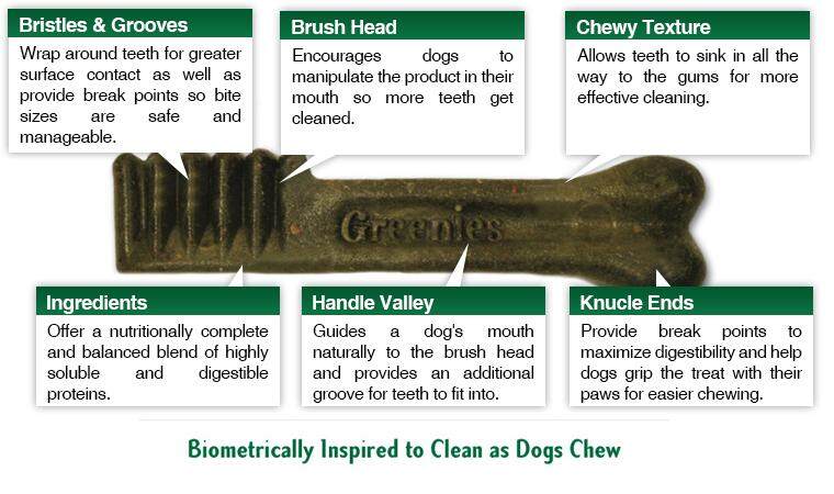 dog-bone-inset.jpg