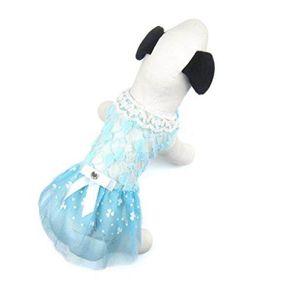 Alfie Hewan Peliharaan dengan Petoga Couture-Corey Renda Baju Pesta-Warna: Biru Ukuran-Intl