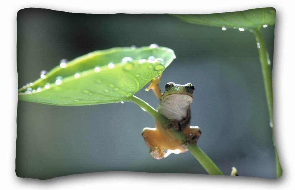 Kustom Characteristic (Hewan Katak Payung Daftar) Lembut Bantal Kasus Sarung 20*30 Inci (Satu Sisi) ritsleting Sarung Bantal Cocok untuk Tempat Tidur Queen-Internasional