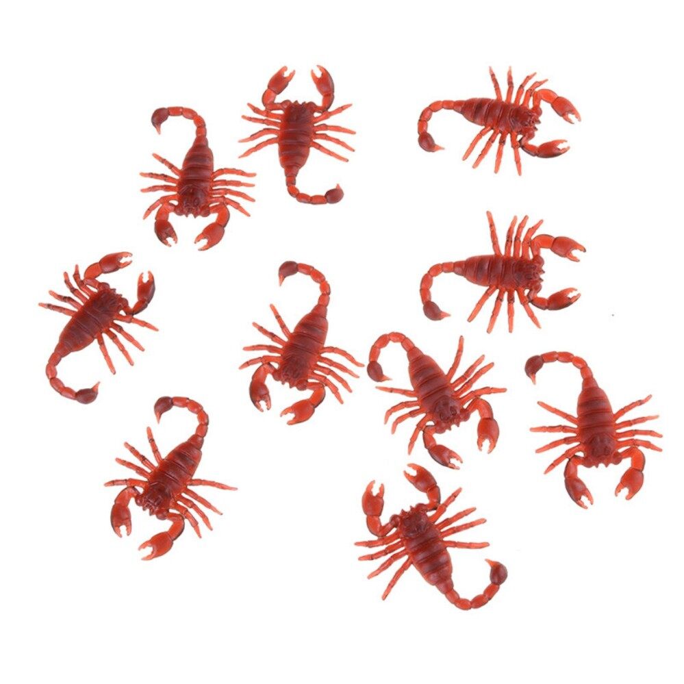 Buy Sell Cheapest 80 PCS SCORPION Best Quality Product Deals