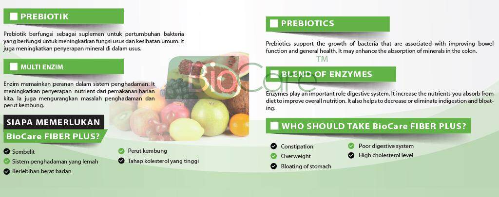 Fiber Plus 18g (Detox
