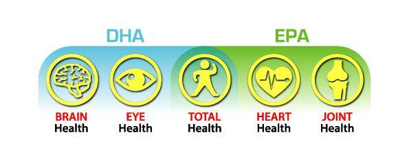 FO Total Health-01-01-01.jpg