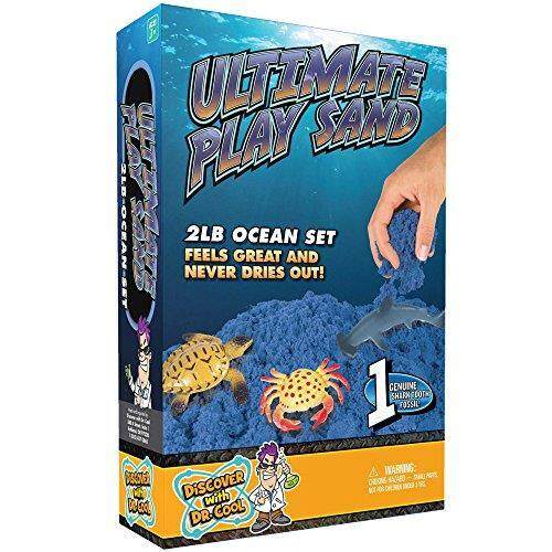 Terakhir Laut Permainan Pasir-2 Lbs Pasir dengan Baki, 6 Laut Cetakan, dan 6 Laut Angka-Squeeze, Jamur, dan Scoop dengan Discover dengan Dr. Keren-Internasional