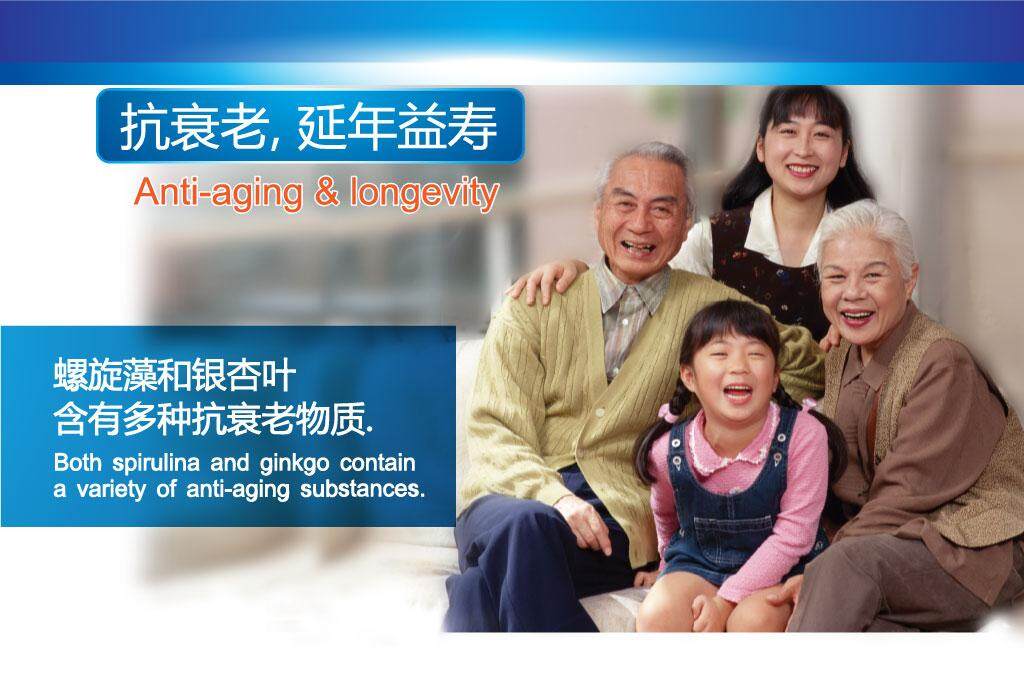 spi-gingko3.jpg
