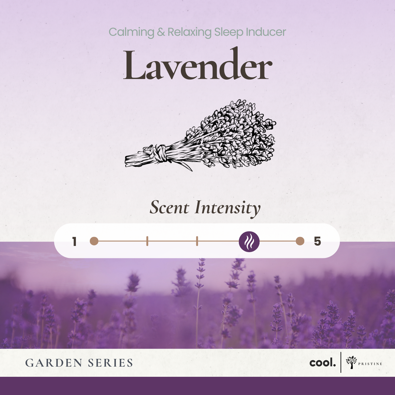 Pristine Reed Diffuser | Garden Series | 50ml | Natural Home Fragrance | Botanical-Inspired Scents | Essential Oil | Ideal Gift for Home Decor