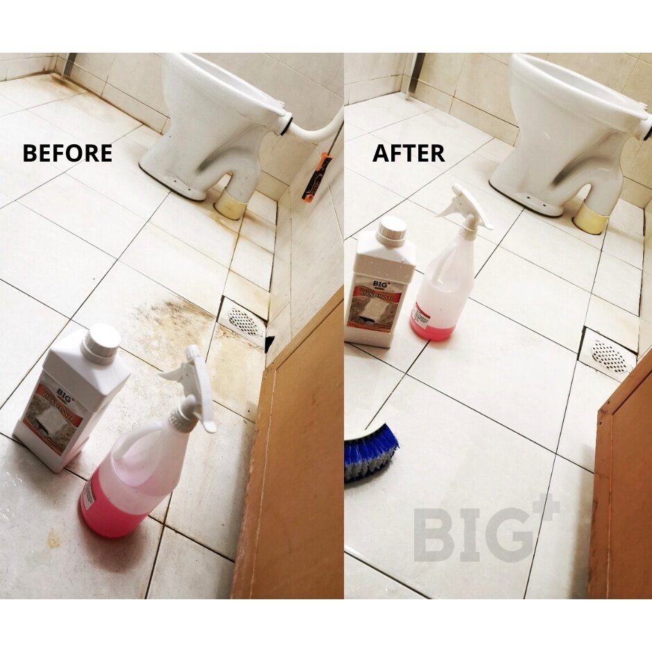 BIG+ Heavy Duty Stain Remover (2x1000ml) Toilet Floor Cleaner Liquid