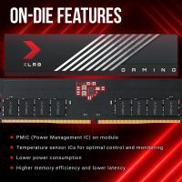 PNY XLR8 DDR5 6000/6200MHz MAKO 16GB Low profile PC Memory Module (Single pack)
