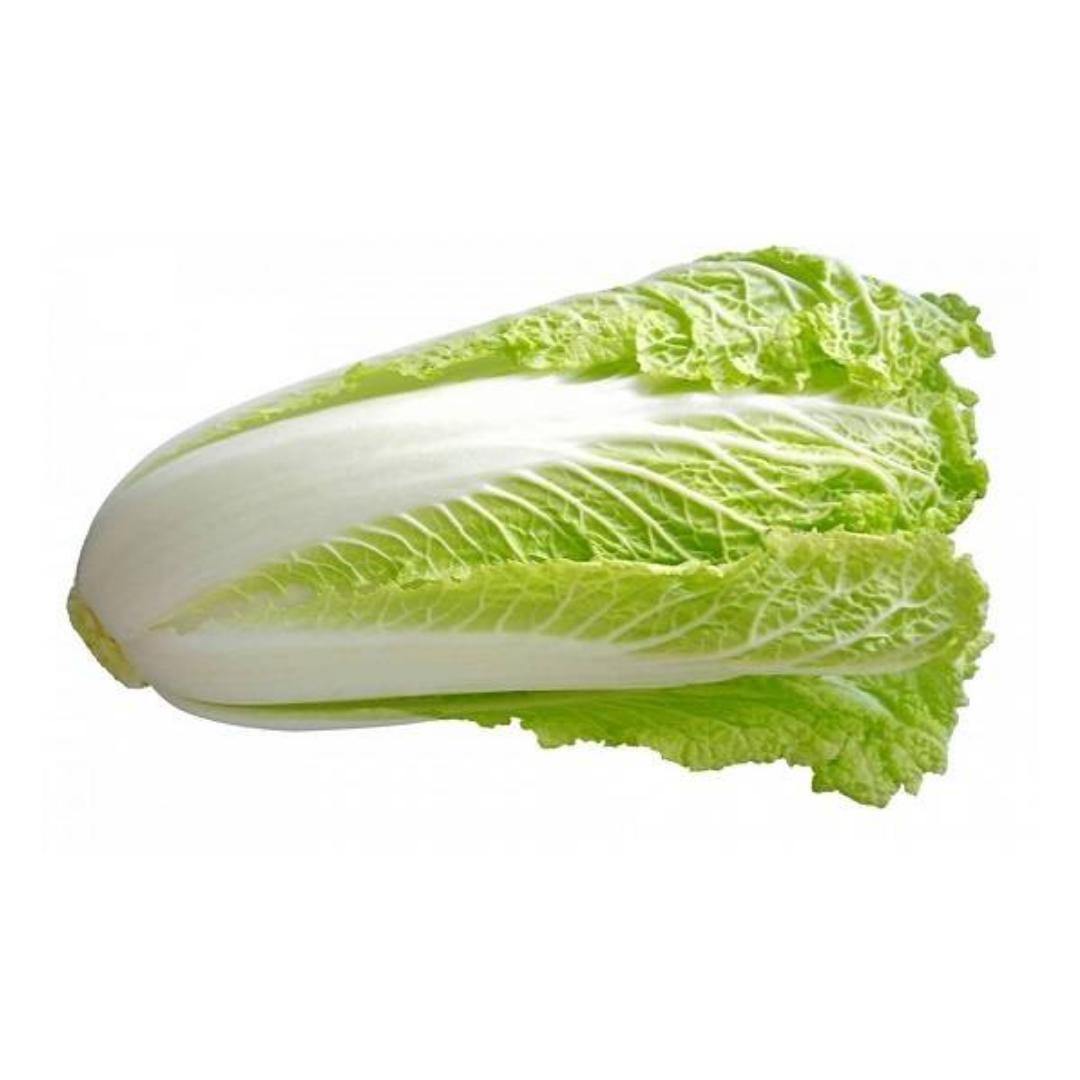Cabbage Chinese (Clean & Trim) 1kg (sold per kg) Alcofresh 白菜 Kubis Cina