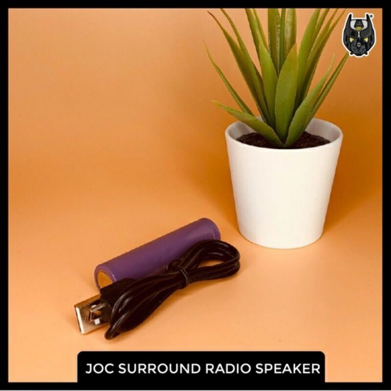 Rechargeable JOC Elderly Digital FM AM Portable Pocket Radio With USB TF Card