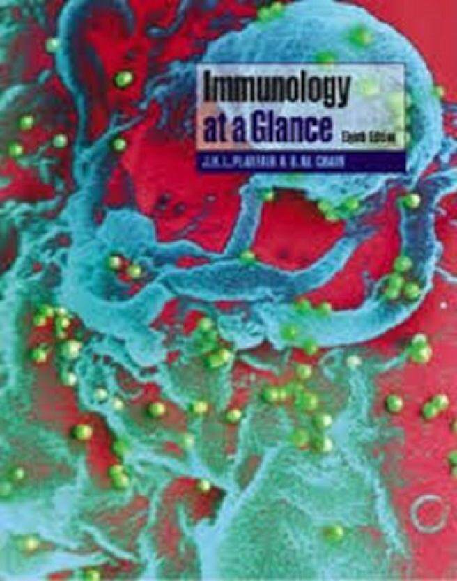 Immunology At A Glance / Playfair / - ISBN: 9781405131339