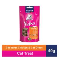 Vitakraft Cat Yums Cat Treats Assorted Flavors (40g/pack)