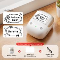 NIIMBOT B2Pro Thermal Label Printer 300dpi HD Red Black Dual Color Bluetooth Portable Intelligent Label Maker Name Sticker Food Barcode Photo Label Machine