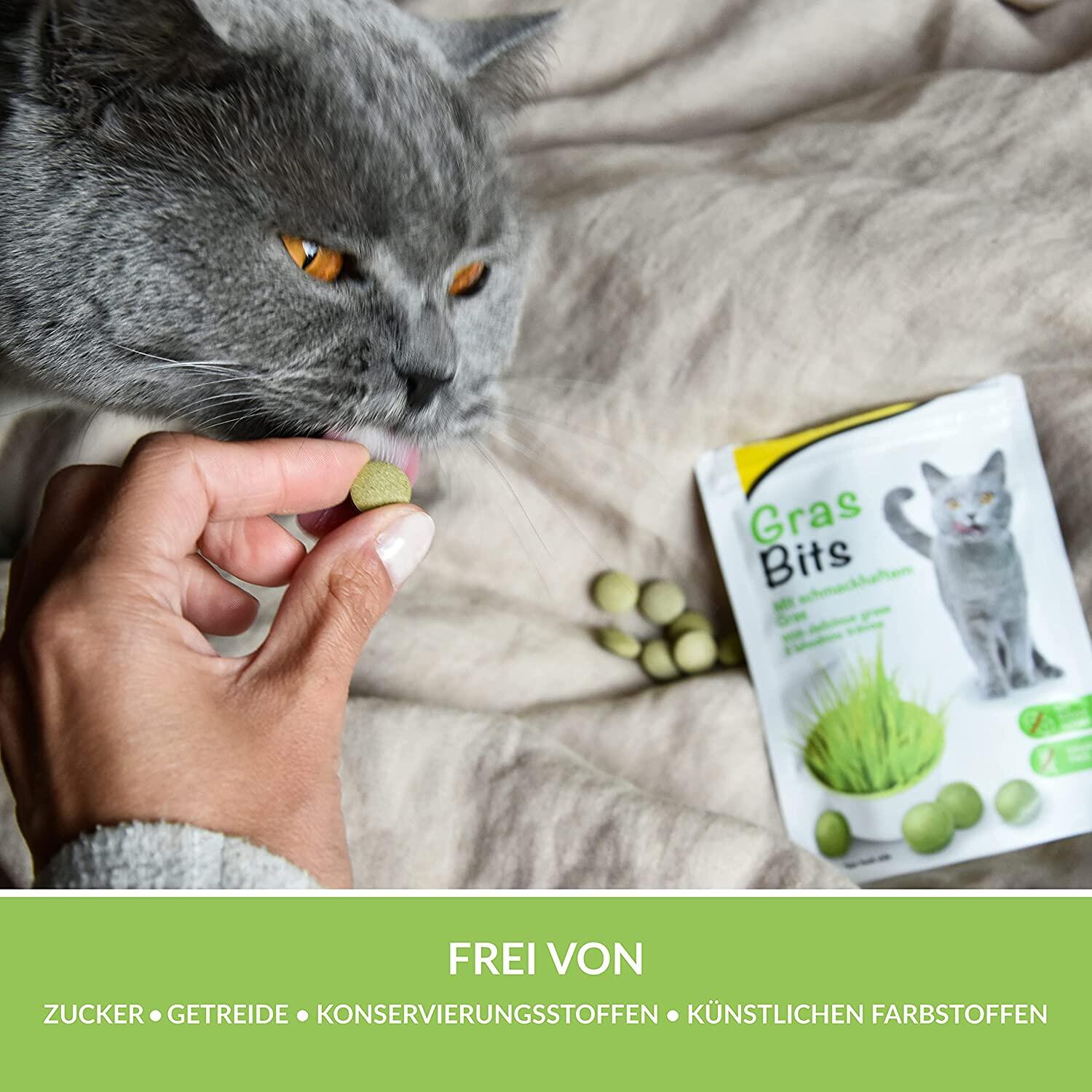 GimCat Grass Bits - Grain-free cat snacks rich in vitamin containing real grass gras