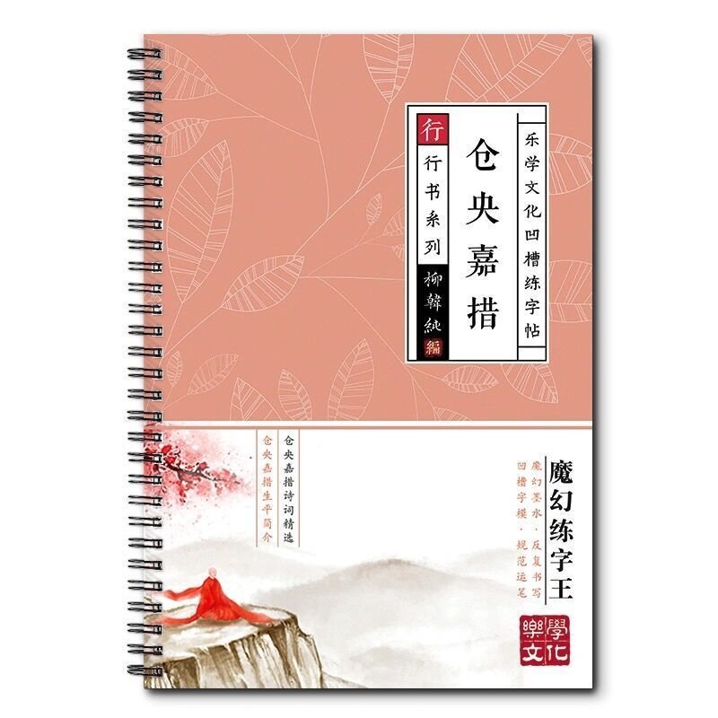小学生练字帖Pupils practice calligraphy【15天练好字】成人行书儿童凹槽字帖中华好字成书法临摹文具速成