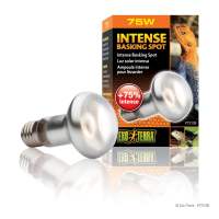 Exo terra intense basking spot UVA heat bulb 25W 50W 75W bearded dragon tortoise UVA light