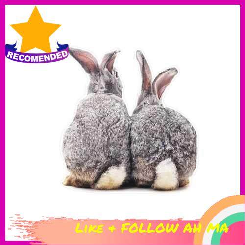 BEST SELLER 1PCS Two Bunnies Sticker Cute Lovely Rabbits 3D Removable Wall Sticker Home Decor Car Body Sticker Vinyl Small Size 6.3*5.9in (S)