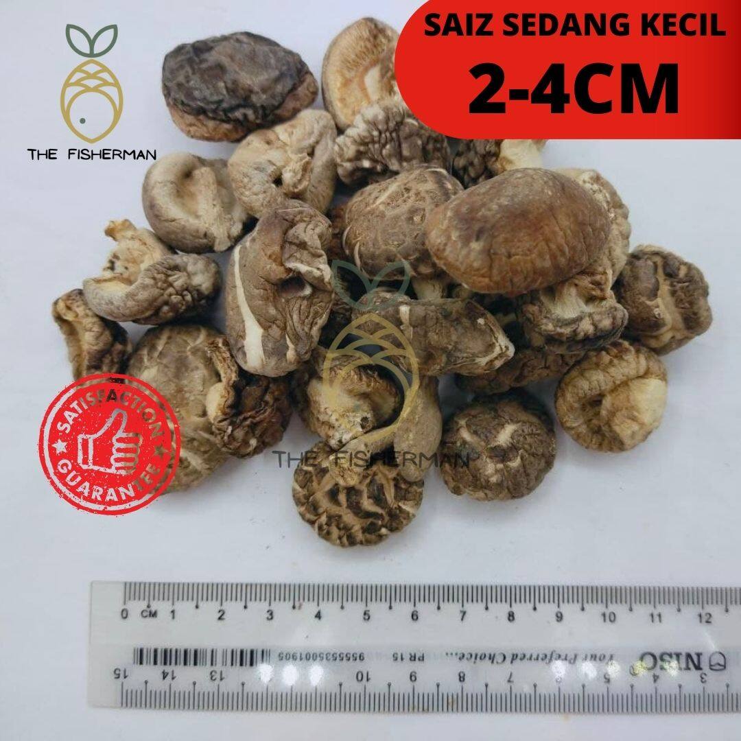 [Borong] Dried Pearl Mushroom 一口菇/珍珠中小香菇 (100G/180G/300G/500G/1KG/3KG) - The Fisherman