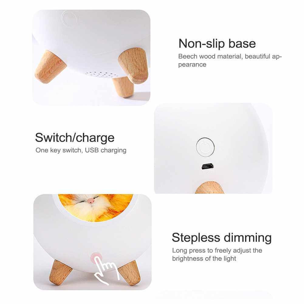 Mini Pet House Night Light Portable USB Dimming Table Lamp Kids Baby Bedroom Decoration Light (White)