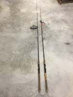 BERKLEY Lighting Rod