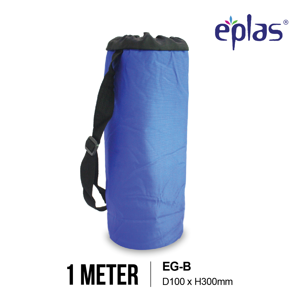 EPLAS KIDS 550/850ml Cartoon Water Bottle With Straw and Handle Botol Air Kanak BPA Free EBSP-550PP EBSP-850PP