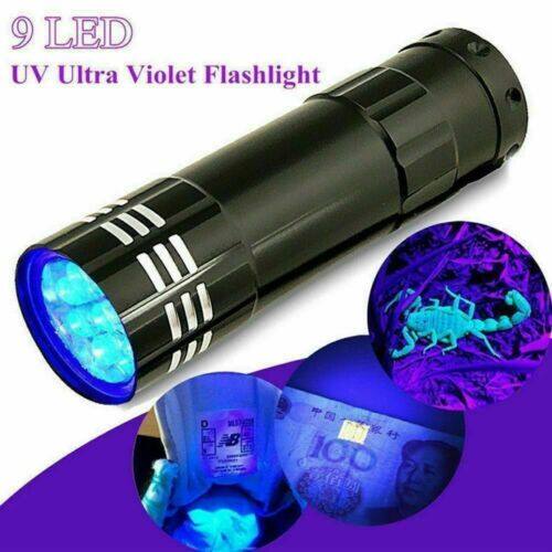 uv torch near me