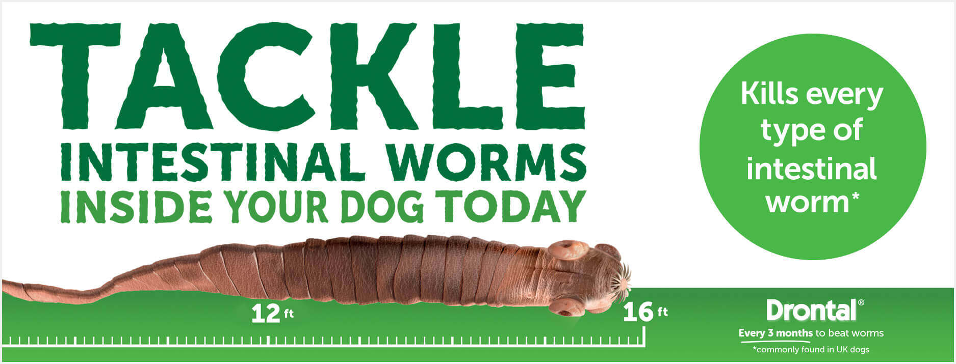 Drontal Dog Tasty Bone Wormer Tablet deworm intestinal worms tapeworm hookworm roundworm gastrointestinal cacing perut anjing