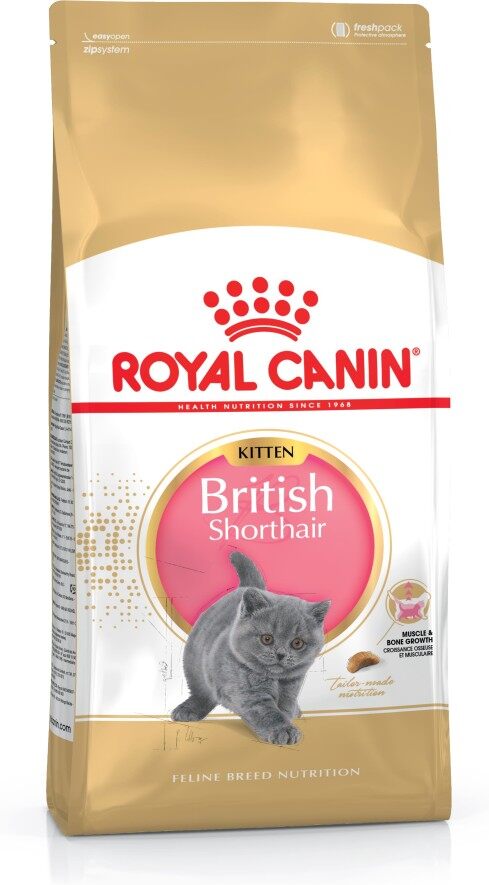 Royal Canin British Shorthair Kitten 2kg Original Pack cat food short hair bsh makanan kucing kitten food premium quality imported cheapest murah