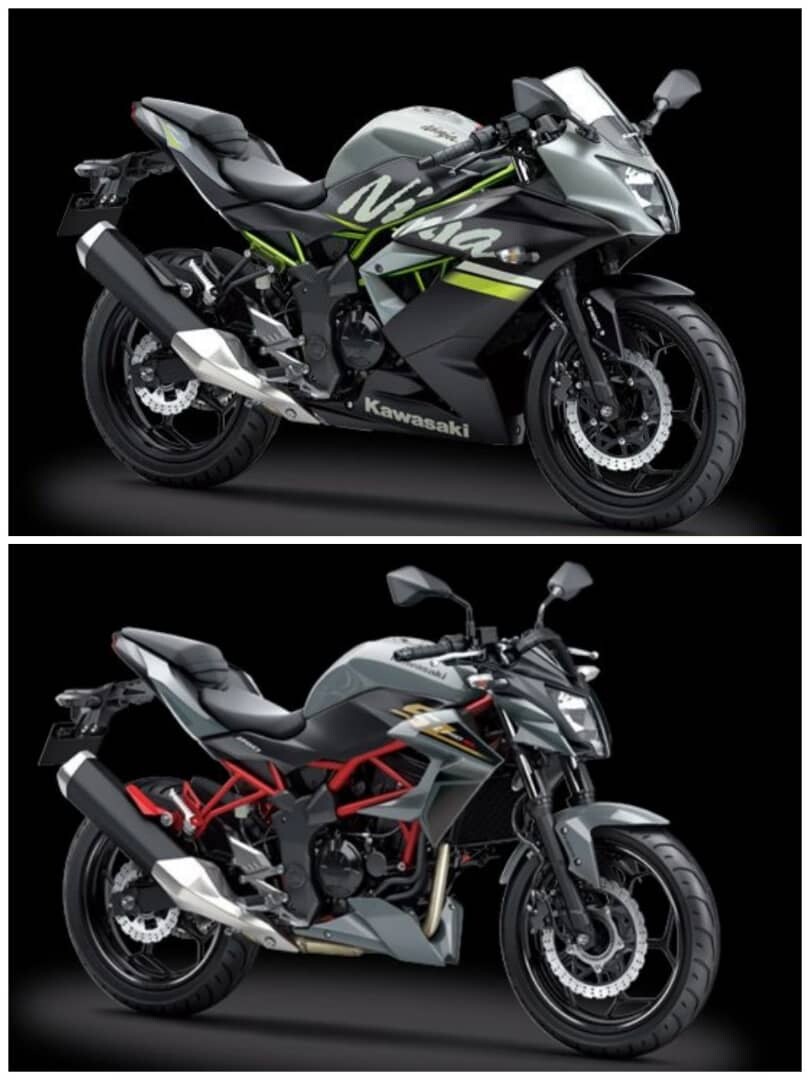 RK Sprocket Set Kawasaki Ninja 250 SL Z250SL Standard Size (14T 42T