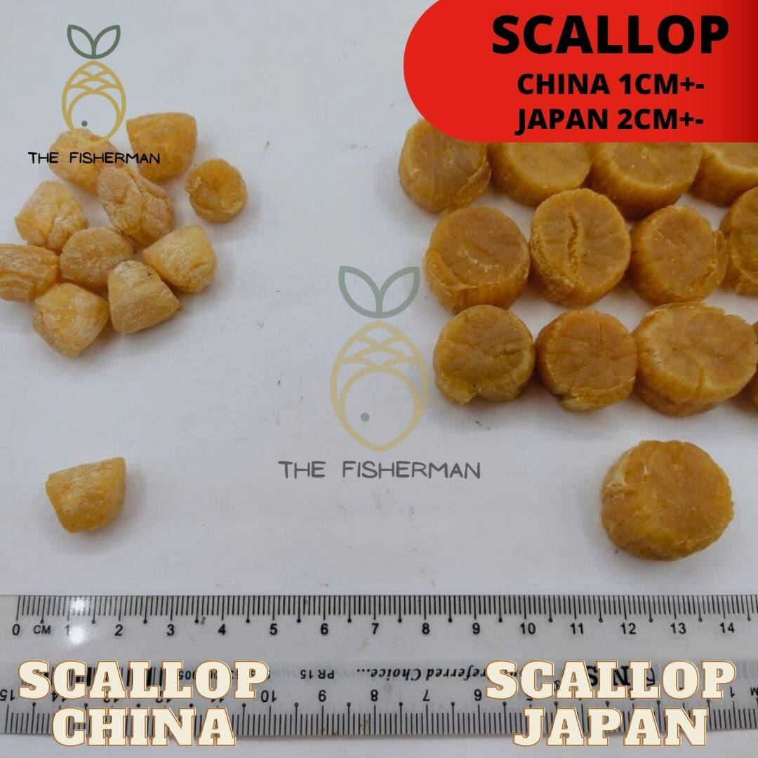[Import] Scallop Japan Original 上等纯日本干贝 (100G) - The Fisherman