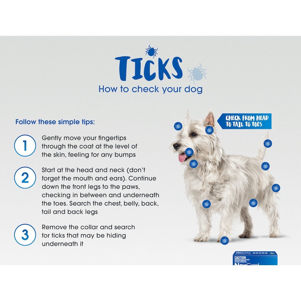 Nexgard Spectra Monthly Chewable Tablet for Medium Dogs (7.5 15kg