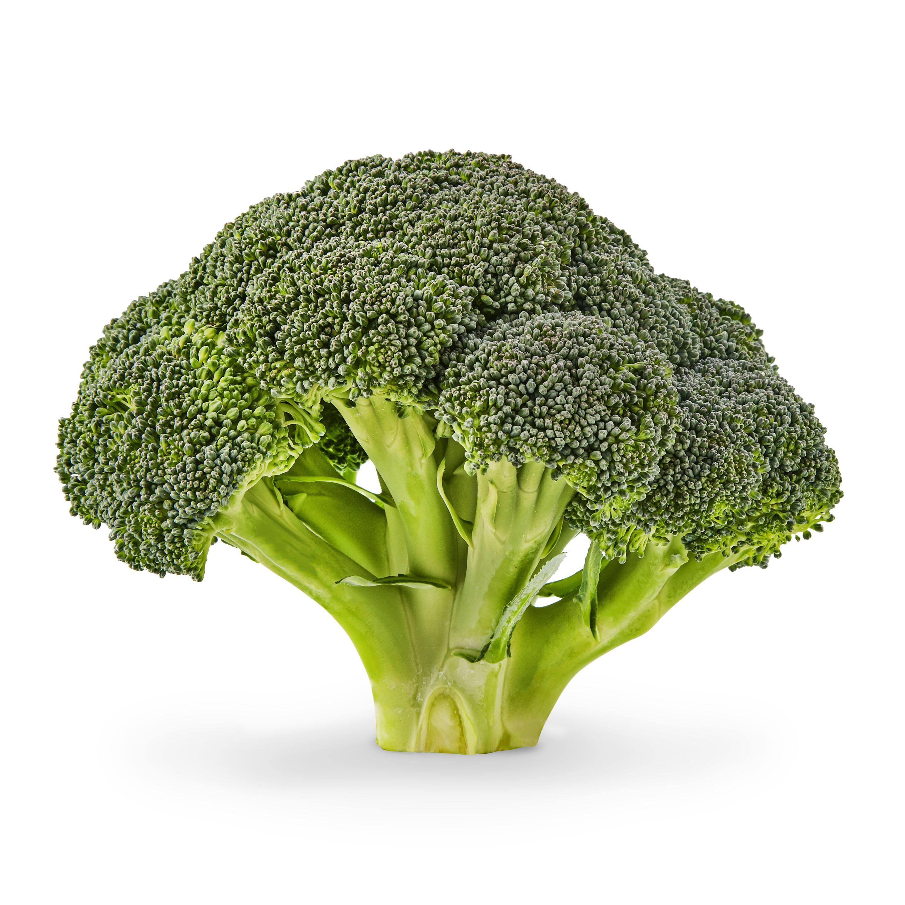 [SALE] (1pc 250g+-) Broccoli VEGETABLE RATATOO MARKET