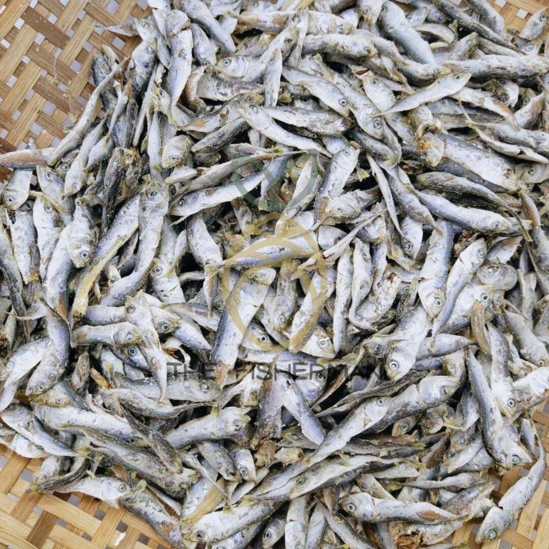 [Borong] Ikan Bilis Kembung 100% Fresh 5A (1KG/500G/300G) - The Fisherman
