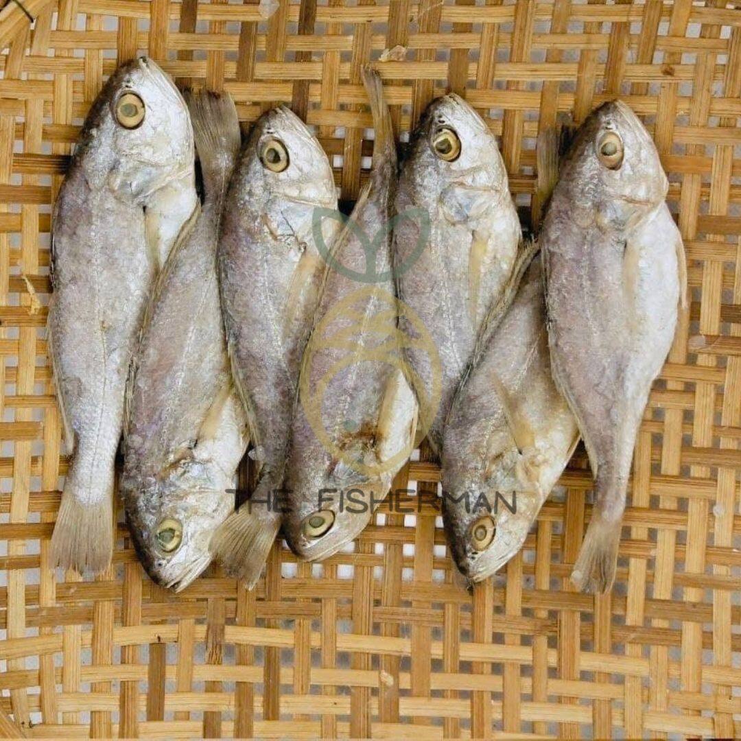 [Borong] Ikan Masin Gelama Pishang Masam 100% SEGAR 梅香比双咸鱼[正宗] Salted Fish (300G/500G/1KG) - The Fisherman