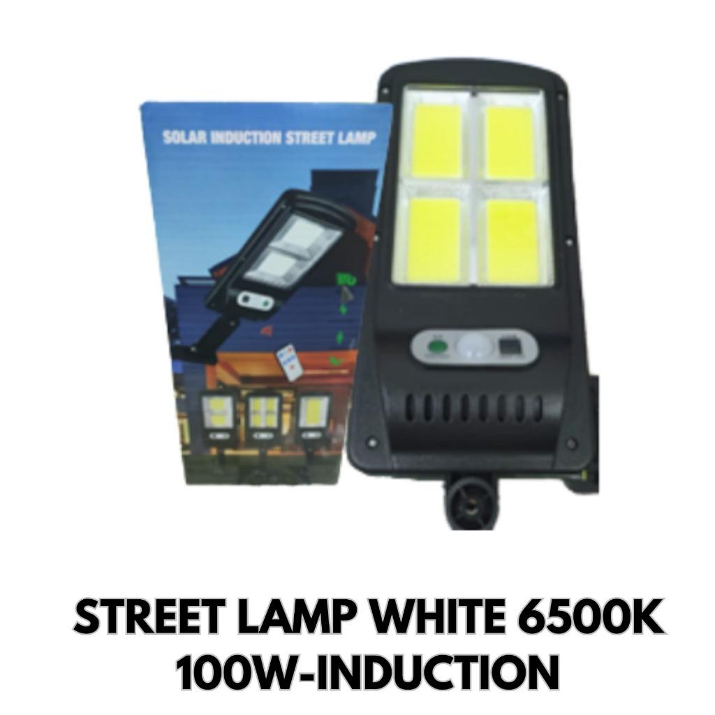 LED Solar Street Light with Remote Control & Cable | Waterproof Outdoor Lampu Solar LED | Multiple Watt & Size Options