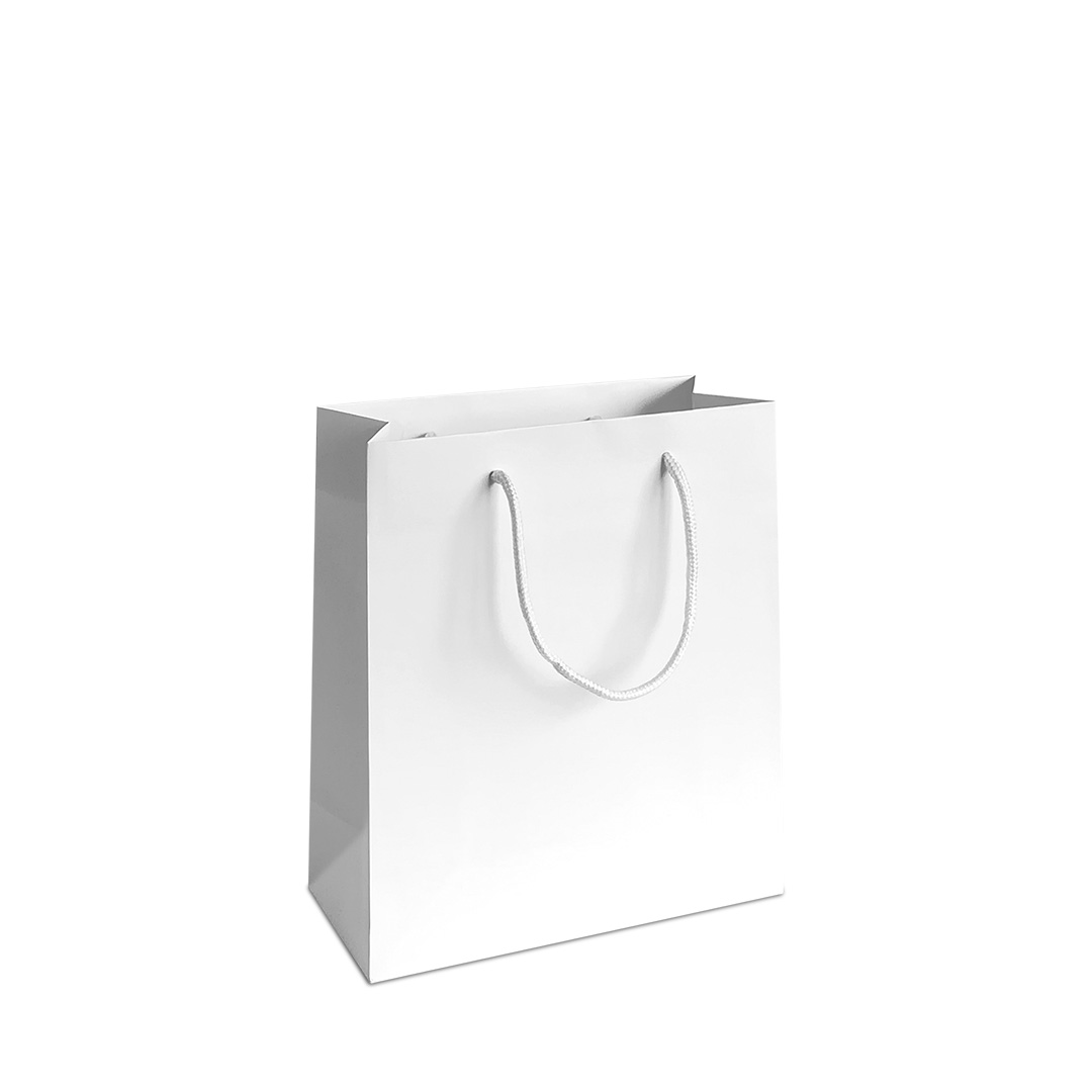 Plain Paper Bag (Random) - 1pc
