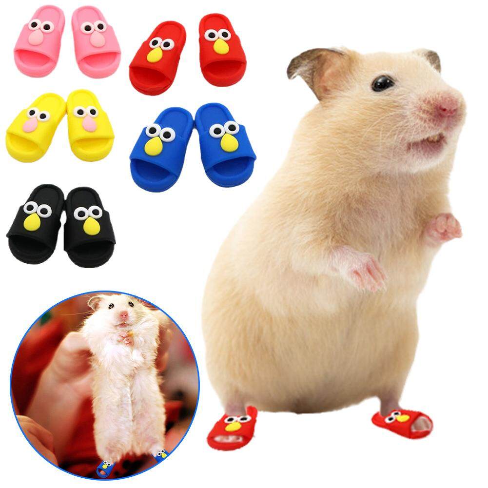 1Pair Mini Pet Slipper Silicone Cartoon Sesame Street Hamster Pet Hedgehog  Slipper Shoes L8M4 | Lazada